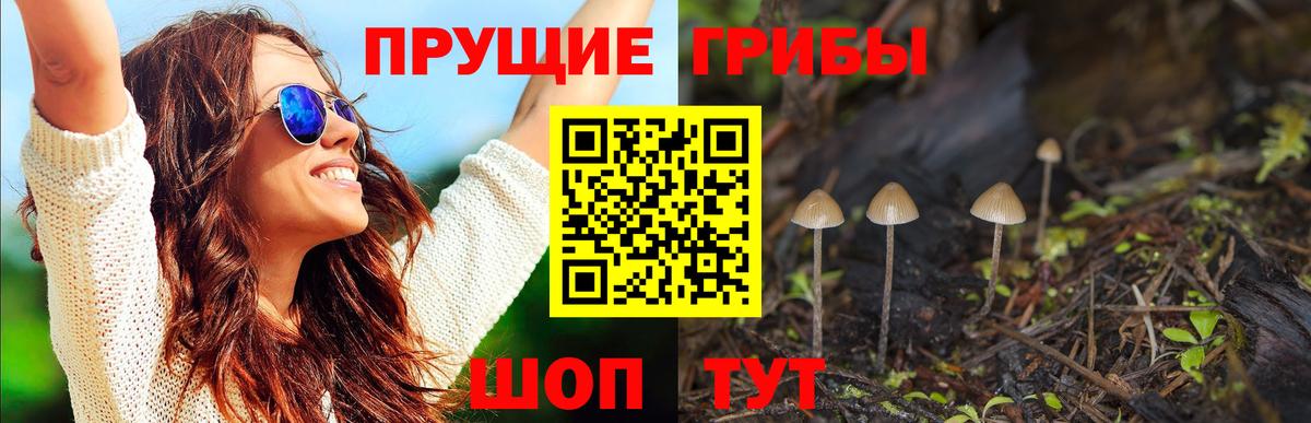 Строитель  Галлюциногенные грибы Psilocybine cubensis  Вход с VPN  как найти наркотики  Галлюциногенные грибы GOLDEN TEACHER 